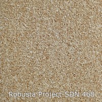 Robusta Project-SDN 468